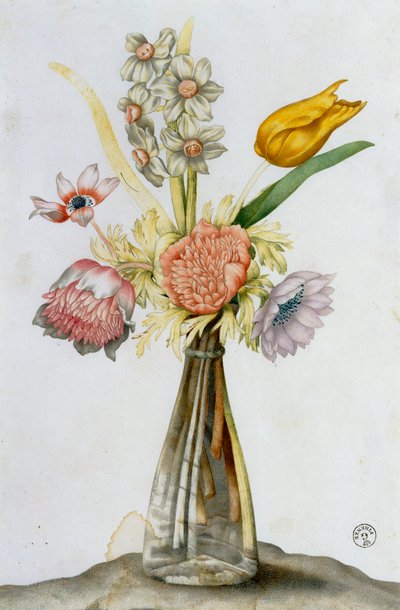 Glass Vase with Anemones, a Narcissus and a Tulip by Giovanna Garzoni